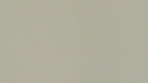 Torreon, Coahuila, 06 de Diciembre de 2014. Eduardi Daniel Aguirre (San) anota gol durante el partido de Semifinal Vuelta del Torneo de Apertura 2014 de la Liga MX Categoria Sub 17 entre los Guerrreros del Santos Laguna y las Aguilas del America, celebrado en el estadio Caliente. Foto: Imago7/Manuel Guadarrama