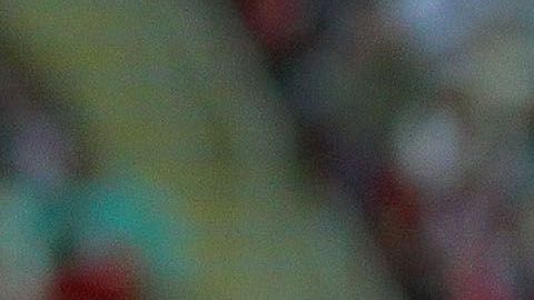 "Chofis" López lleva dos goles de penal.