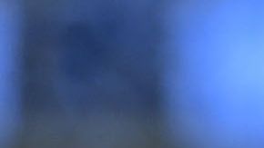 Julio César Chávez Jr. planea seguir con su carrera, hacer peleas a mitad del año y en septiembre.