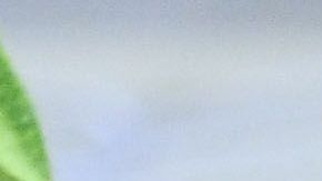 Cecilio Domínguez festeja tras anotar el gol de la victoria.