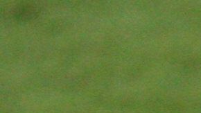 Tigres reciben a Monterrey, en duelo correspondiente a la fecha 17 del Clausura 2018