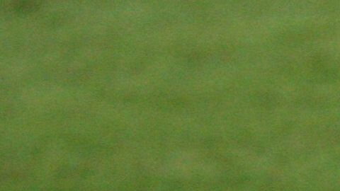 Tigres reciben a Monterrey, en duelo correspondiente a la fecha 17 del Clausura 2018