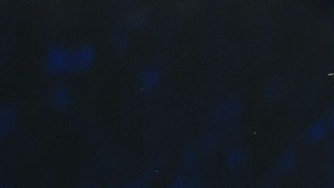 "Canelo" aún no elige rival para mayo, aunque se especula que puede ser el japonés Ryota Murata.