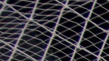 Adiós a la liga de Ascenso MX.