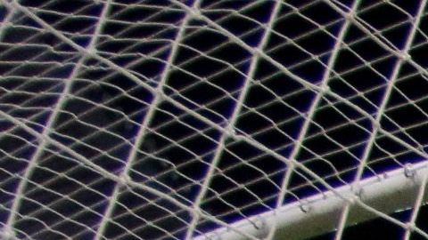 Adiós a la liga de Ascenso MX.