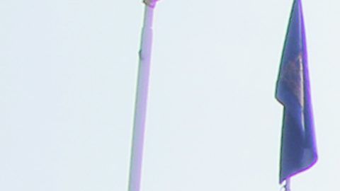 La novia le va a Pumas y el novio a las Chivas.