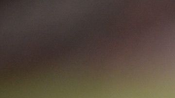 Nico Benedetti estará fuera de las canchas por medio año.