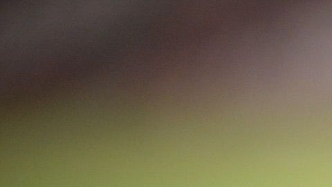 Nico Benedetti estará fuera de las canchas por medio año.