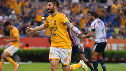 El Rebaño tiene 10 años sin ganar en el Estadio Universitario de Nuevo León.