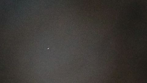 Pizarro fue campeón con Chivas en el Clausura 2017.