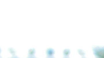 Antonio Carlos Santos ganó 8 títulos con el América.