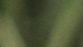 Los chivahermanos no perdonan a Higuera.