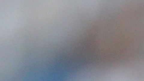 Los Rayados de Monterrey.