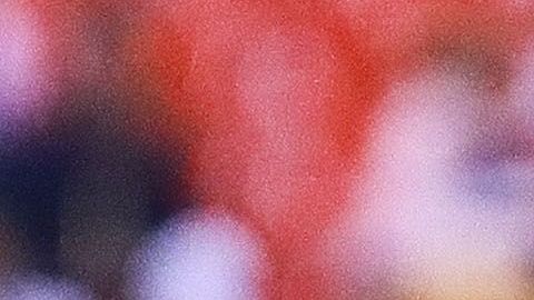 Las estadísticas favorecen al América.