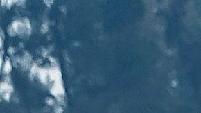 Ciudad de México, 27 de octubre de 2019. , durante el Gran Premio de México 2019 de la Fórmula 1, celebrado en el Autódromo Hermanos Rodríguez. Foto: Imago7//Angel Ferretiz