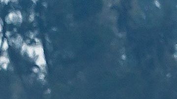 Ciudad de México, 27 de octubre de 2019. , durante el Gran Premio de México 2019 de la Fórmula 1, celebrado en el Autódromo Hermanos Rodríguez. Foto: Imago7//Angel Ferretiz