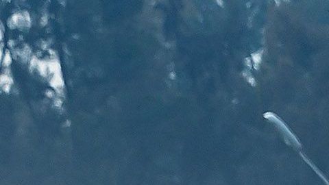 Ciudad de México, 27 de octubre de 2019. , durante el Gran Premio de México 2019 de la Fórmula 1, celebrado en el Autódromo Hermanos Rodríguez. Foto: Imago7//Angel Ferretiz