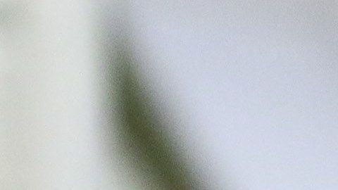 Roger Martínez afirmó que nunca pidió salir del América.