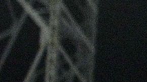 'Profe' Cruz ha dirigido nueve equipos en México.