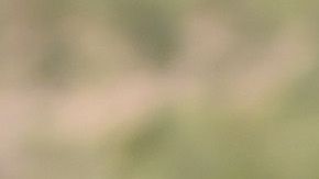 El zaguero disputará la Europa League este año.