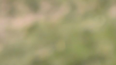El zaguero disputará la Europa League este año.