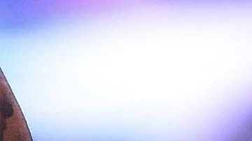 ‘Tuca’ no quiso arriesgarlo.