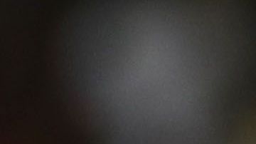 Guzmán se mantiene alejado de las canchas.