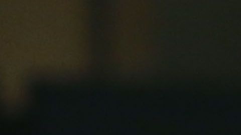 El Burro Van Rankin es uno de los aficionados más célebres del América.