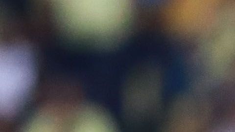 Fue campeón con Chivas en el Clausura 2017.