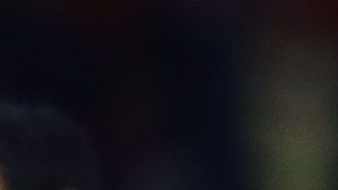 Miguel Herrera no pudo coronarse con el América en el Apertura 2019.