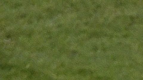 Nico Benedetti, Federico Viñas y Sebastián Cáceres se quedan sin juegos olímpicos.