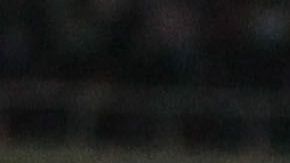 El tricolor es muy importante para el Guadalajara.