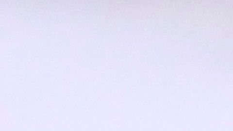 Henry Martin festejando su gol.