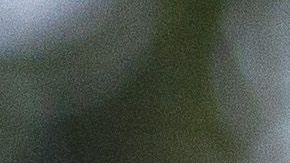 Chicharito ya está más que adaptado a su nueva vida.