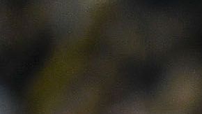 Antuna sin estrenarse como goleador en el Guadalajara.