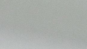 Se implementará un gran operativo policial para el encuentro entre Puebla vs. América