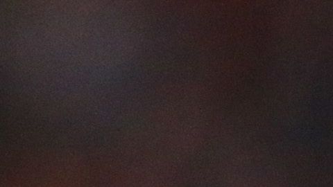 Tena solo tiene un triunfo con Chivas en el Clausura 2020.