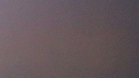 En Chivas no se aceptará la indisciplina.