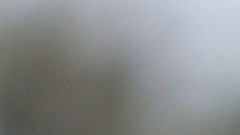 Henry Martin estará presente en la próxima convocatoria del Tri.