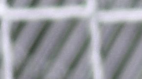 El América Femenil es líder del torneo.