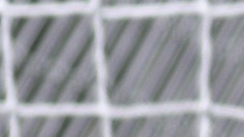 El América Femenil es líder del torneo.