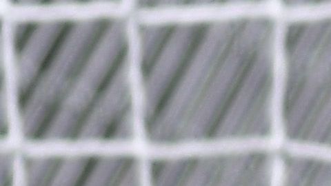 El América Femenil es líder del torneo.