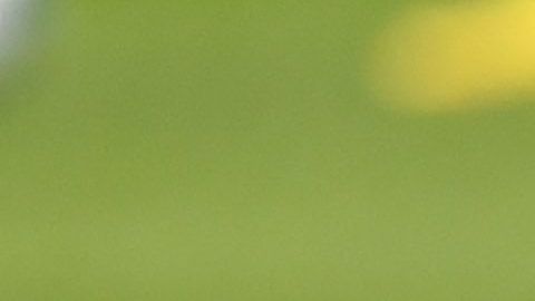 Antuna fue muy criticado por sus fallas.