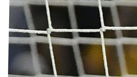 Oribe solo suma un gol en el torneo.