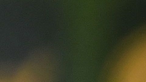 Tena solo ha ganado un partido en el Clausura 2020.