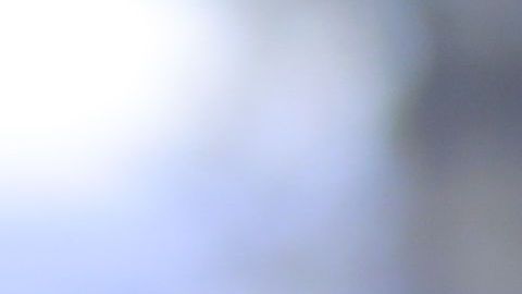 Miguel Herrera nunca ha ganado la Concachampions con América.