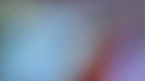 Miguel Herrera fue fuertemente regañado.