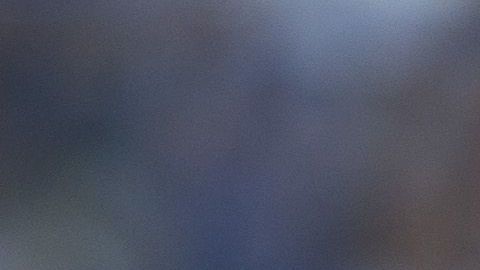 Miguel Herrera tiene muchas opciones para su esquema táctico.