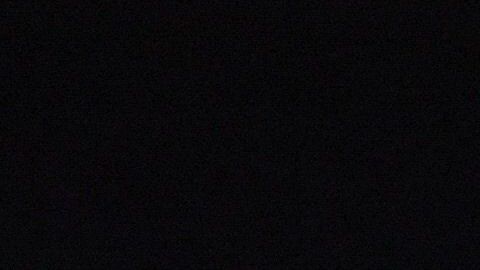 Rafa Puente nunca ha podido derrotar a Miguel Herrera.