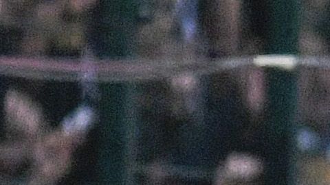 Toluca, Estado de México, 15 de febrero de 2020. , durante el juego de la jornada 6 del torneo Clausura 2020 de la Liga BBVA MX, entre Diablos Rojos del Toluca y Pumas de la UNAM, celebrado en el estadio Nemesio Diez. Foto: Imago7/Rafael Vadillo